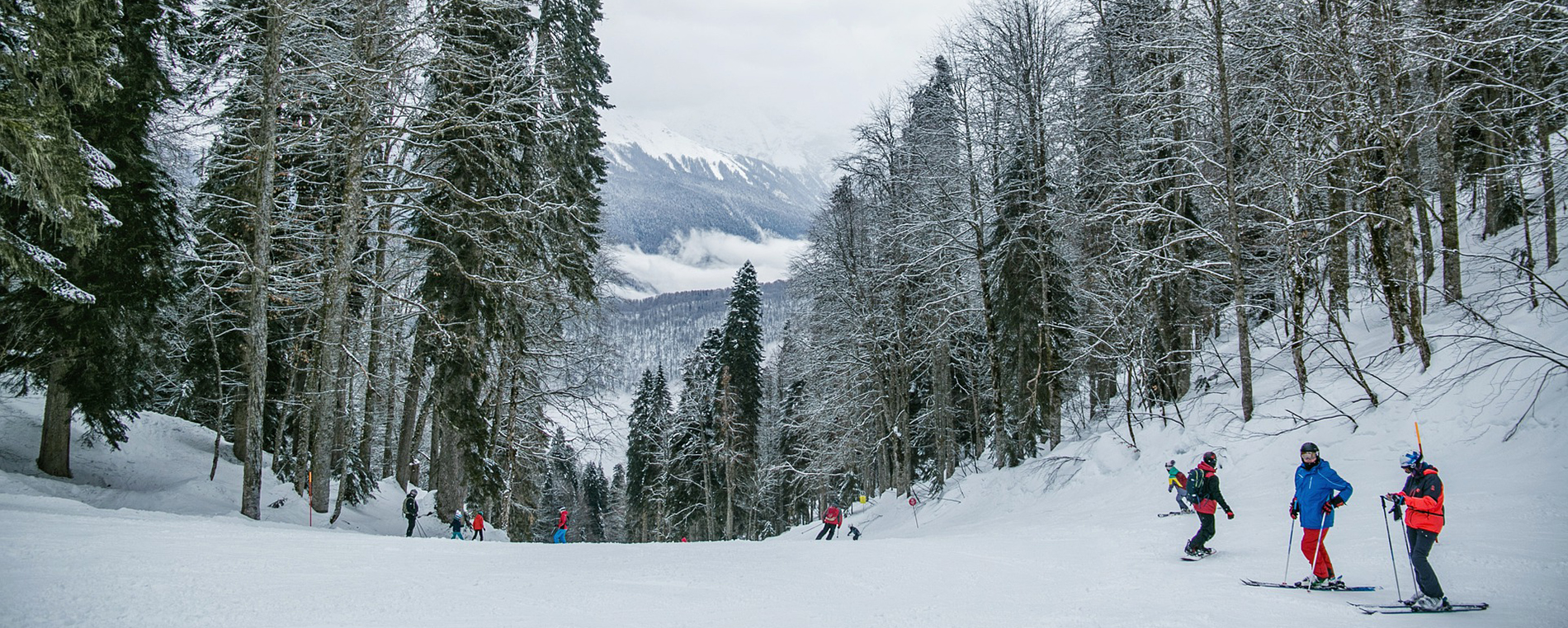 ski Montana