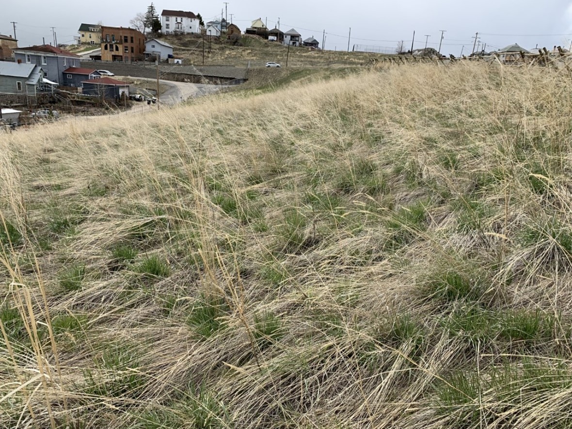 A grassy hillside with sparse vegetation and distant buildings on the horizon.