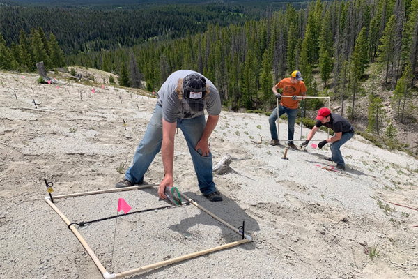 Researchers conducting fieldwork...