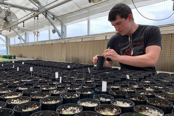 A young man working in a greenhouse, carefully tending to potted plants.