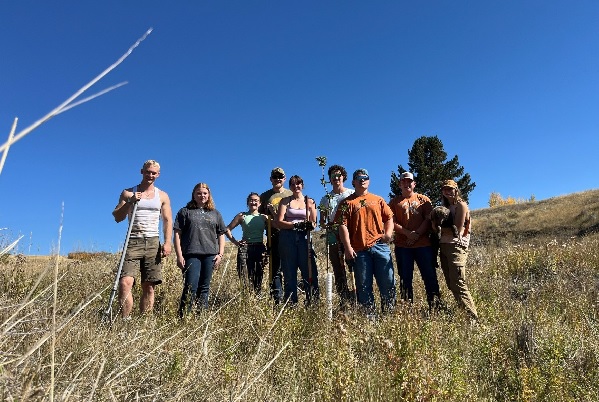 Montana Tech students plant a tree 