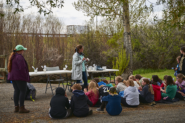 Ripple's Stormwater Festival