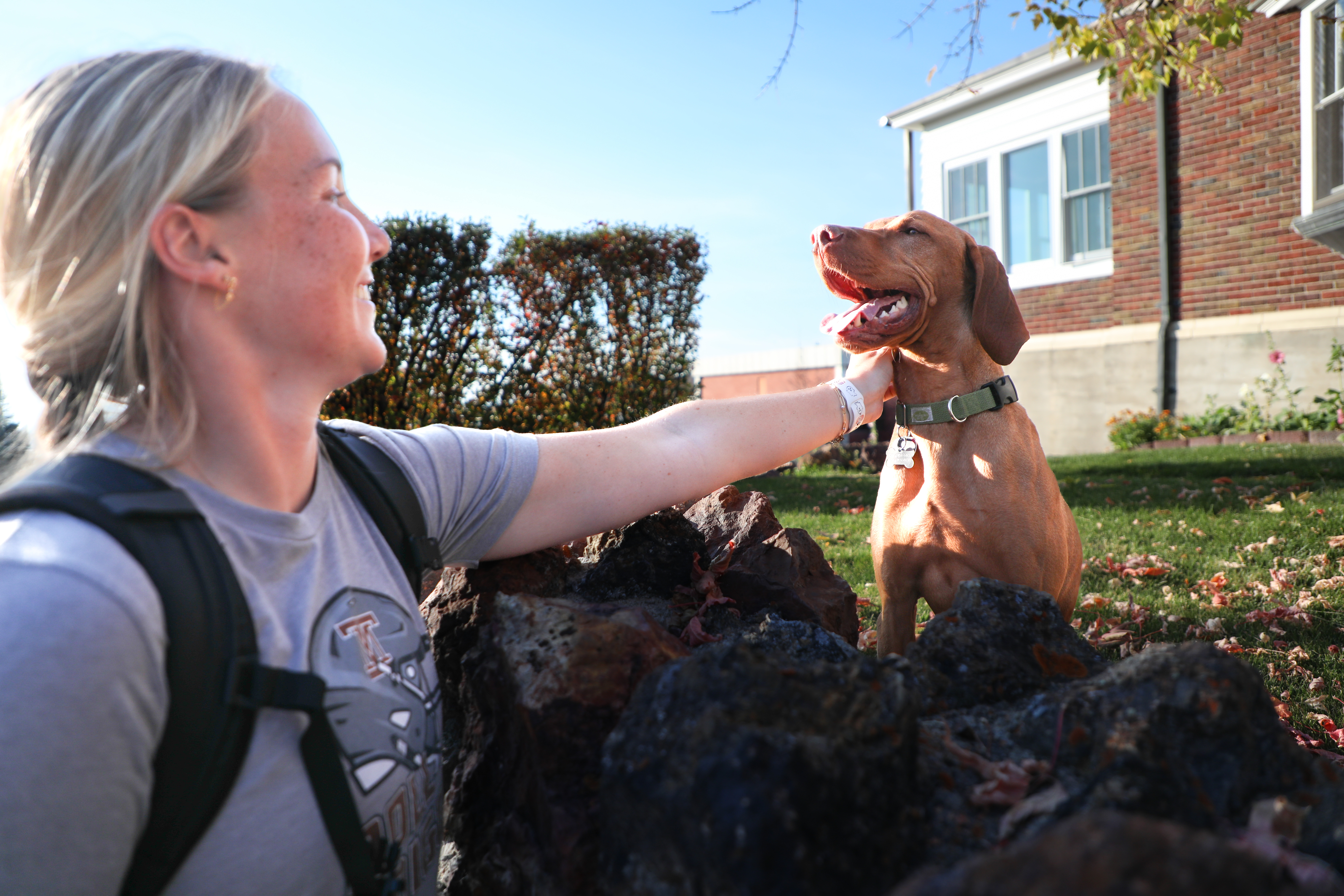 A student pets Waylon, a dog