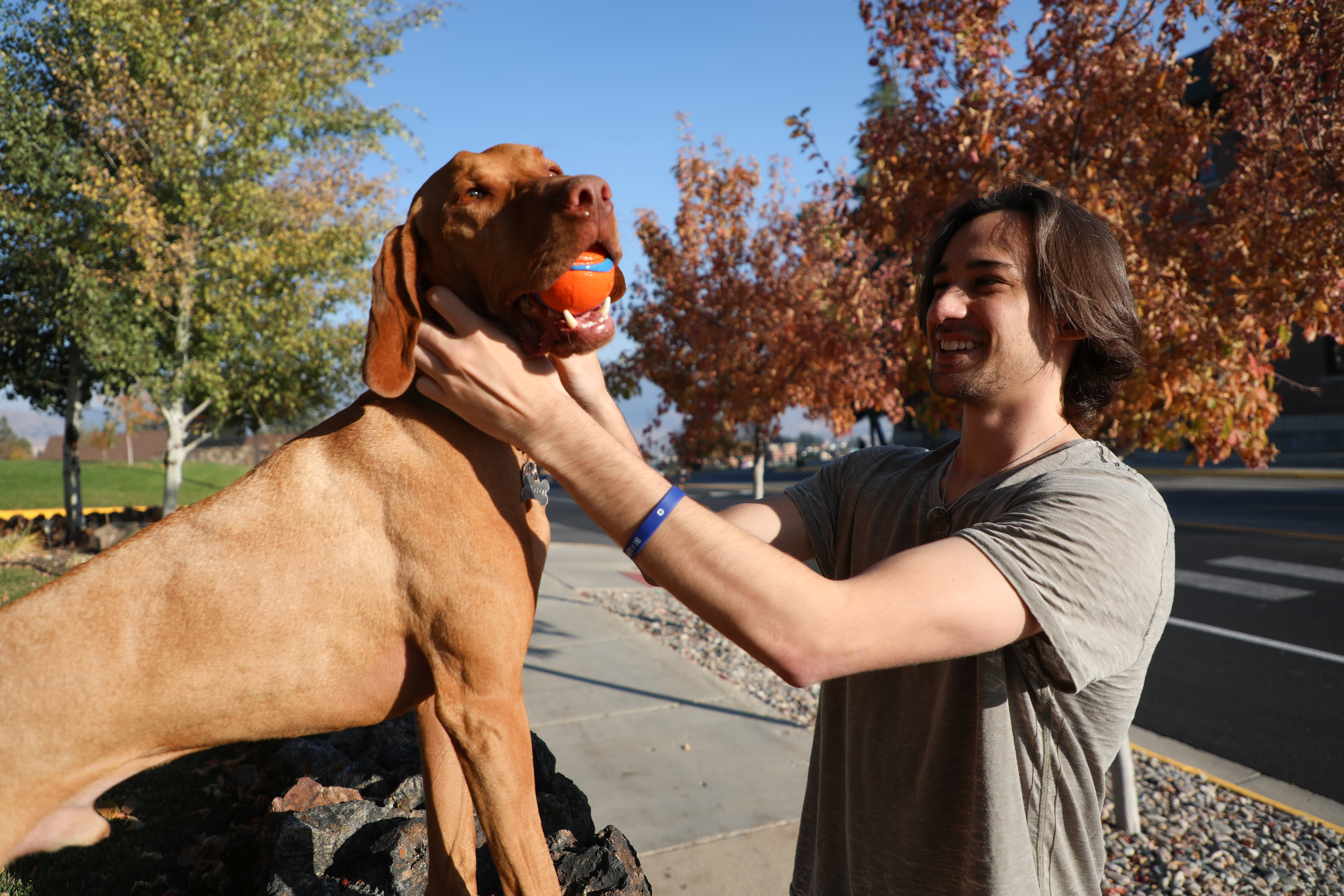 A student pets Waylon, a dog