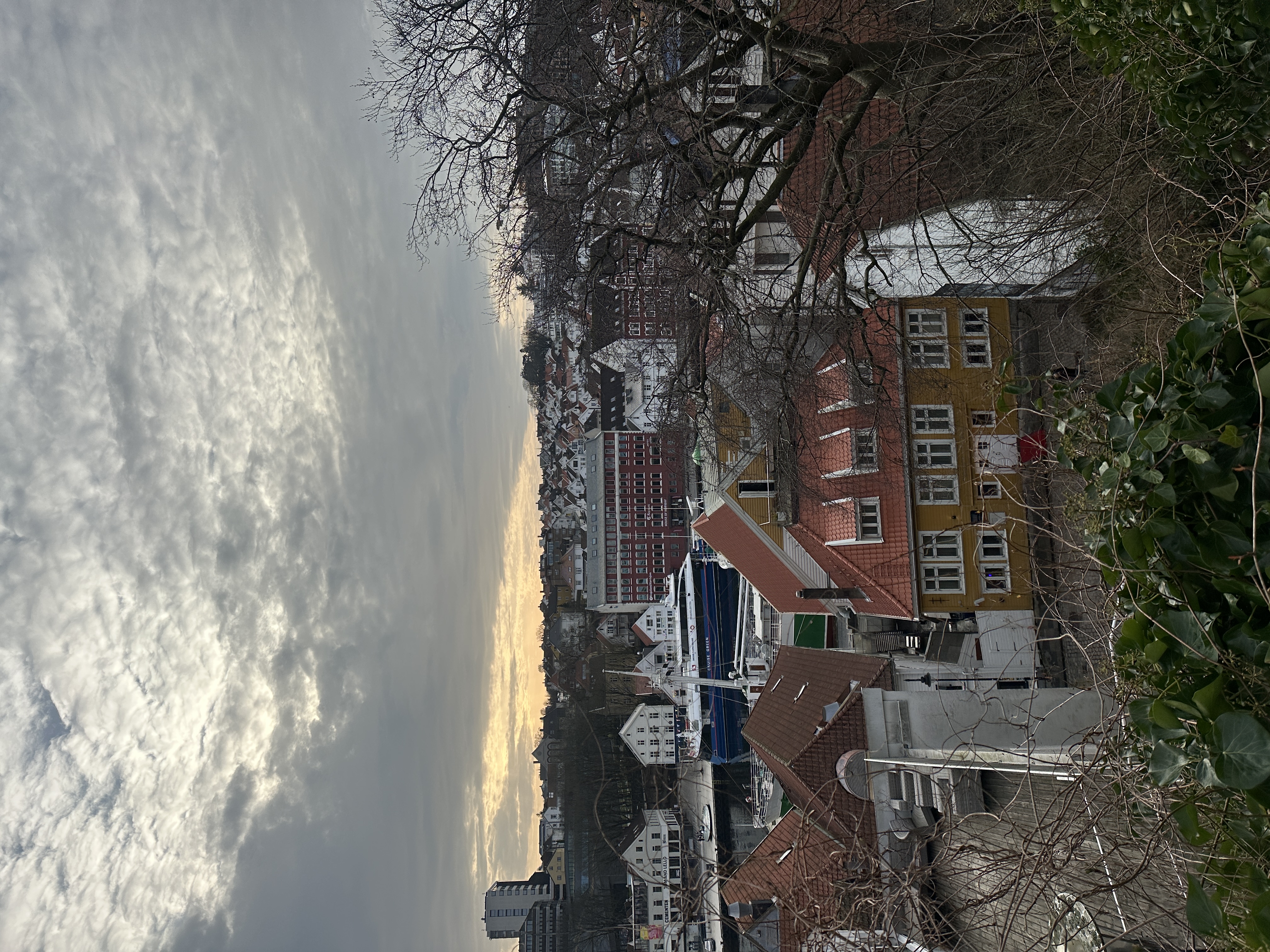 A photo overlooking Stavanger showing houses