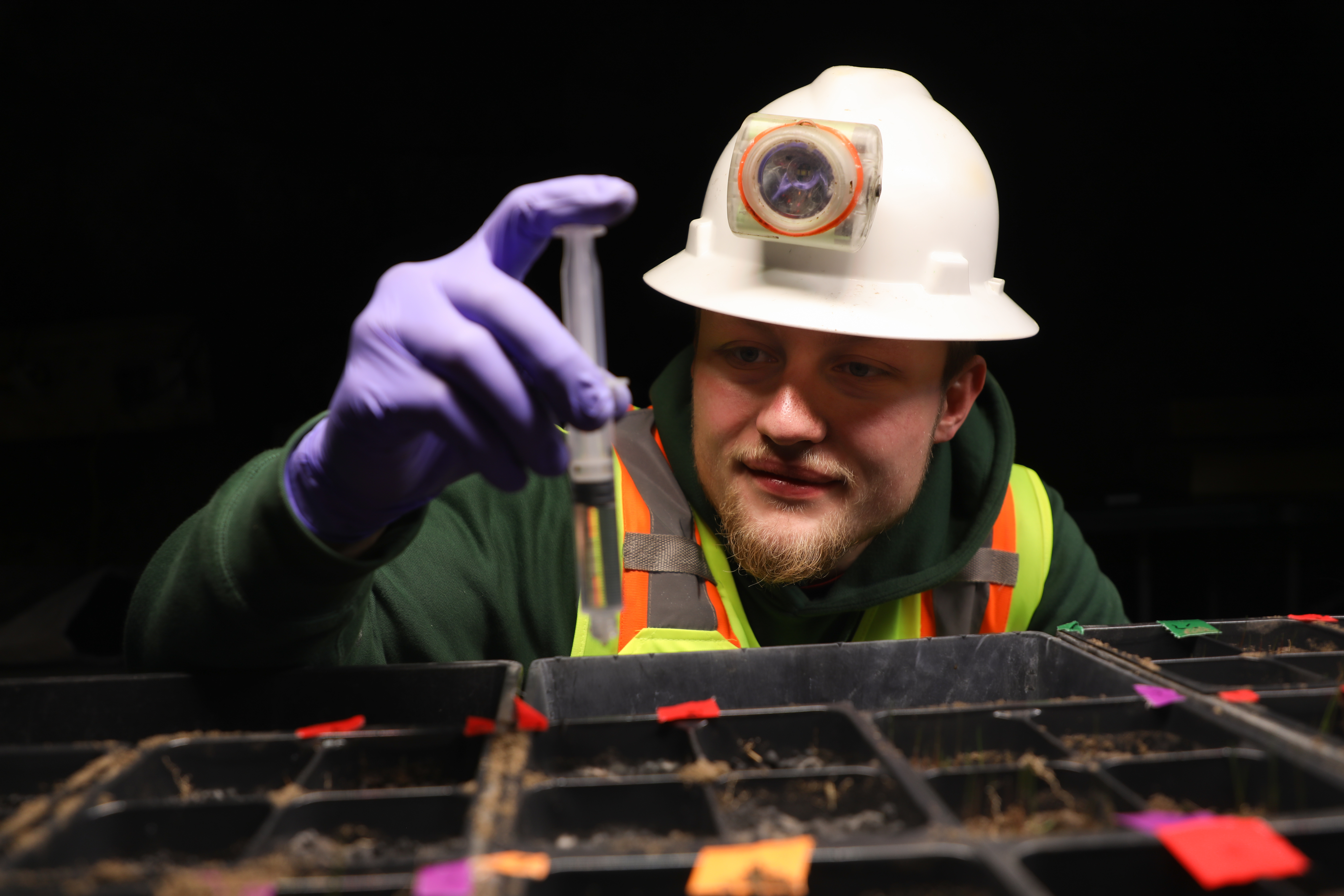 Gavin Rahl works in the Underground Greenhouse